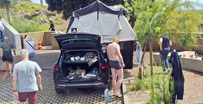 Turismo Selvagem: tanto aqui como lá 1