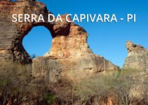 Serra da Capivara: guia completo para uma viagem inesquecível ao coração arqueológico do Brasil 3